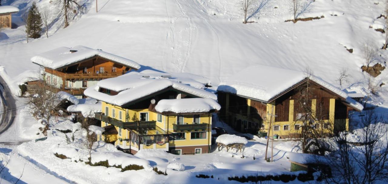 Farm stay Schattaugut Eben Im Pongau